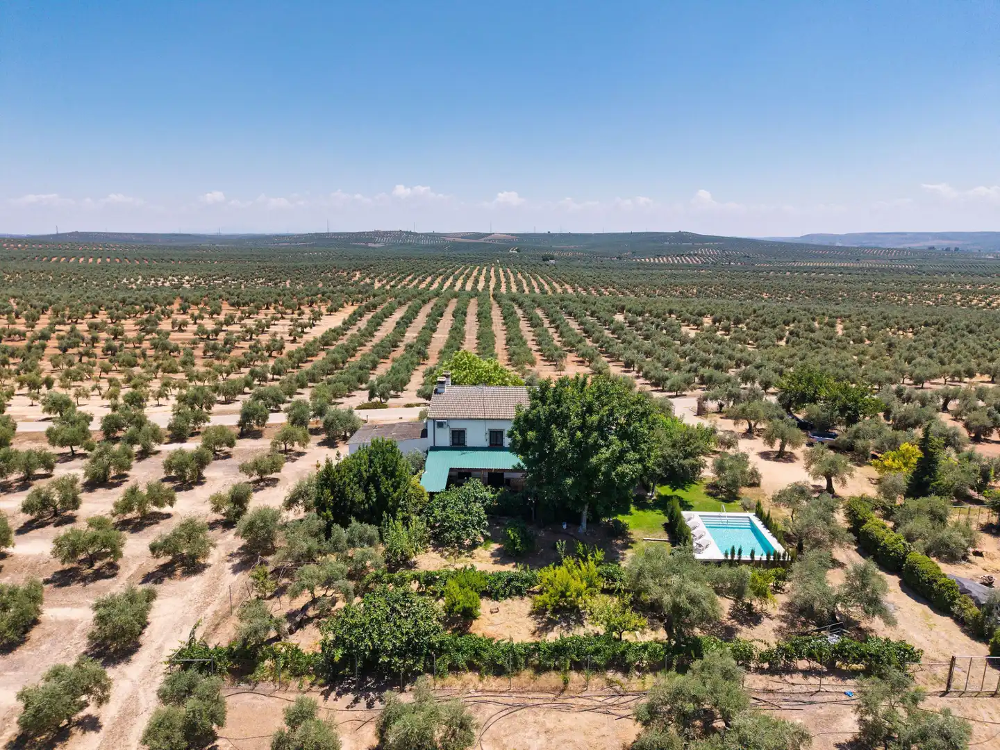 Jardín de Casa o chalet en venta en Marmolejo con Aire acondicionado, Jardín privado y Terraza