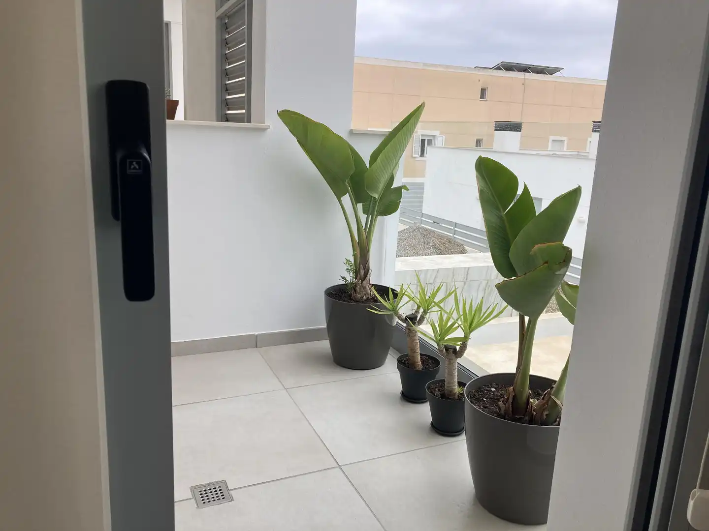 Terraza de Apartamento en venta en Ses Figueretes - Platja d'en Bossa - Cas Serres