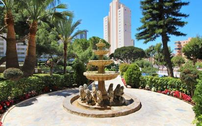 Vista exterior de Estudi en venda en Benidorm amb Aire condicionat i Terrassa