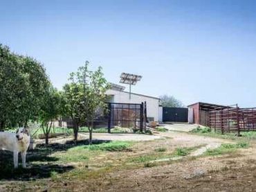 Casa rústica en venda a Peñarroya-Pueblonuevo