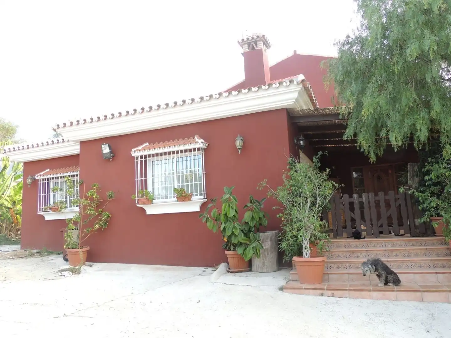 Vista exterior de Finca rústica en venda en Marbella amb Aire condicionat, Calefacció i Jardí privat