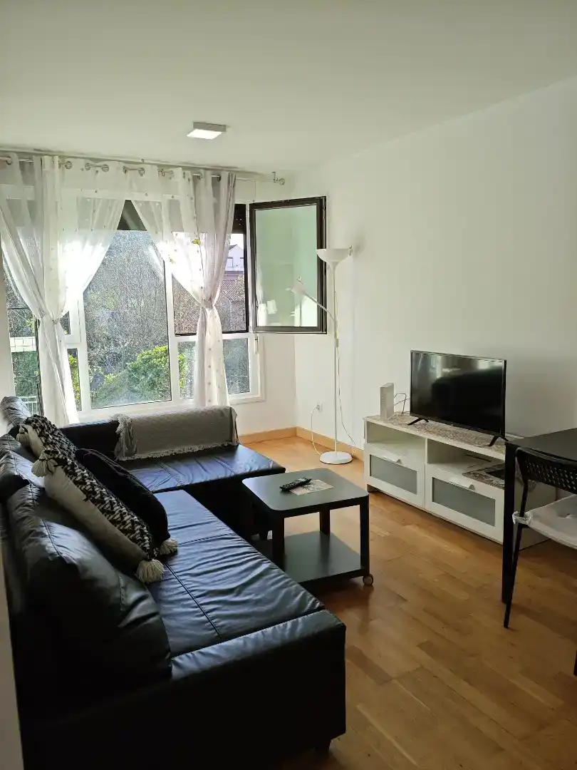 Living room of Flat for rent in Medio Cudeyo