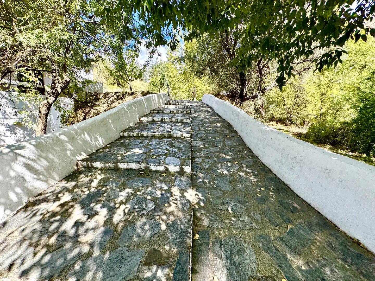 Vista exterior de Terreno en venta en Alpujarra de la Sierra