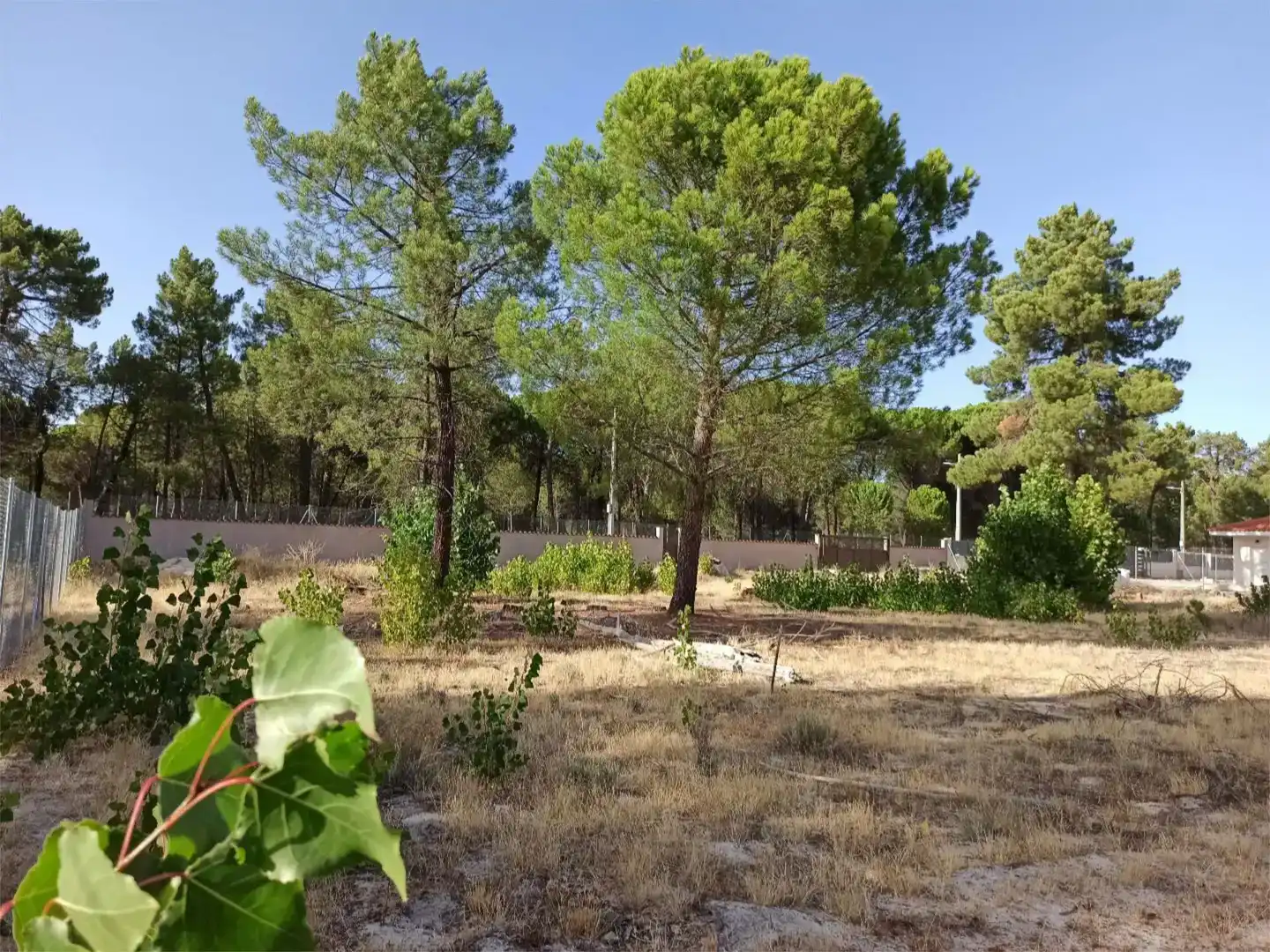 Grundstücke zum Verkauf in Mojados, Valladolid