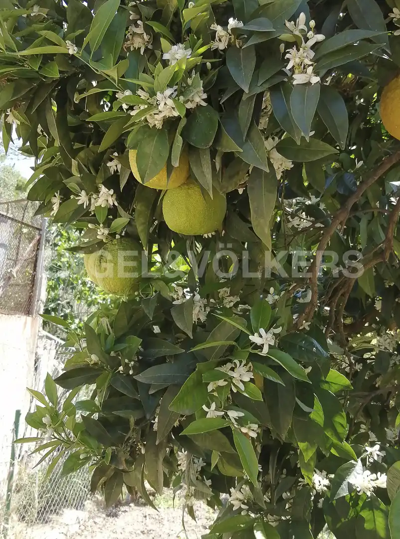 Residential land for sale in Castellbisbal, imagen 30