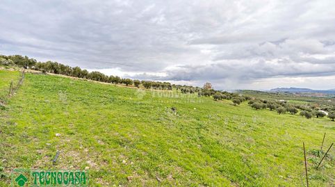 Terrenos en venta en Alozaina, immagine 2