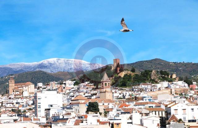 Piso en Venta en Calle de Arroyo Hondo, 34 en Camino Viejo de Málaga