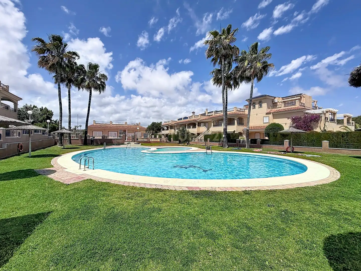 Swimming pool of Detached homes for rent in Pilar de la Horadada  with Air Conditioner and Community pool