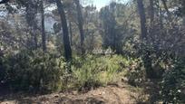 Residential zum verkauf in Camí del Moliner, 59, Matadepera, imagen 3