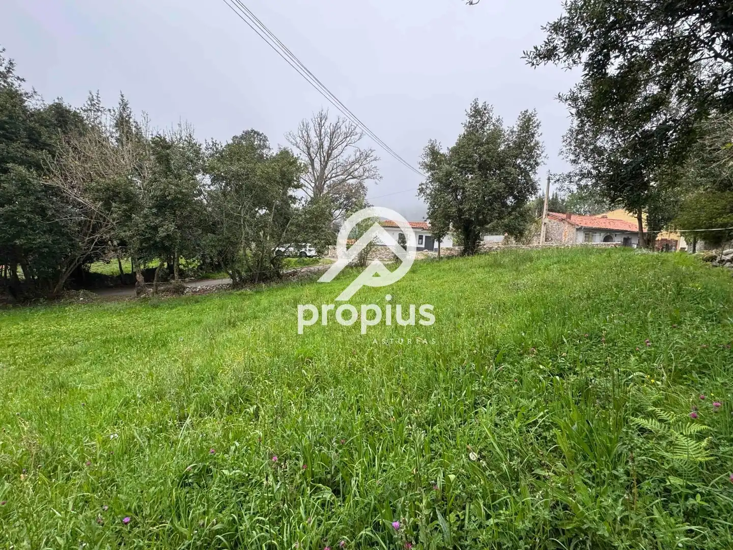 Terreno rustico in vendita a CARDOSO, imagen 4