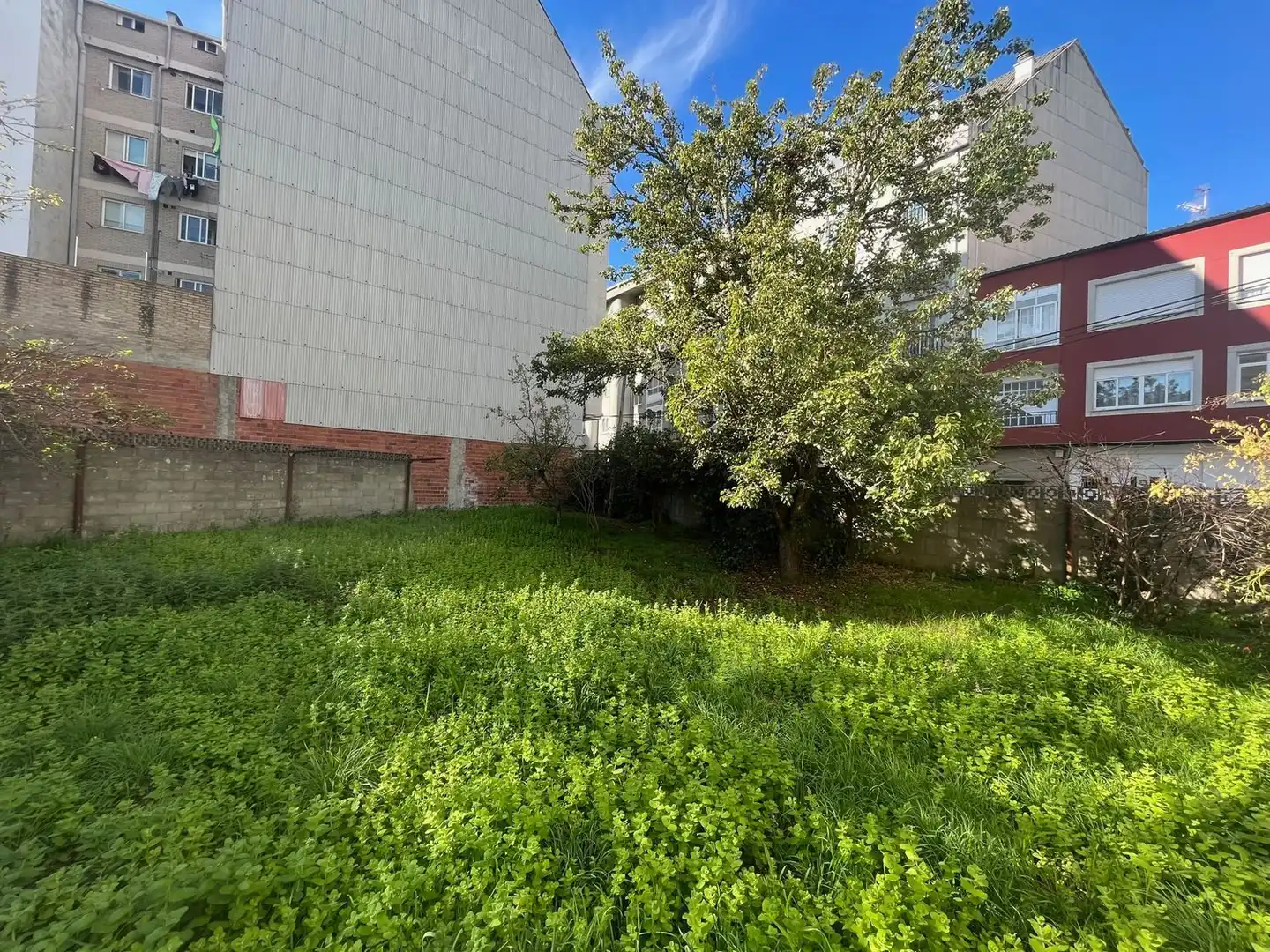 Rural land for sale in Calle Río Porto 35, imagen 2