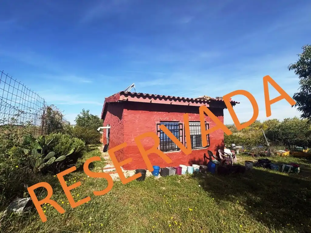 Garden of Land for sale in Casarrubios del Monte