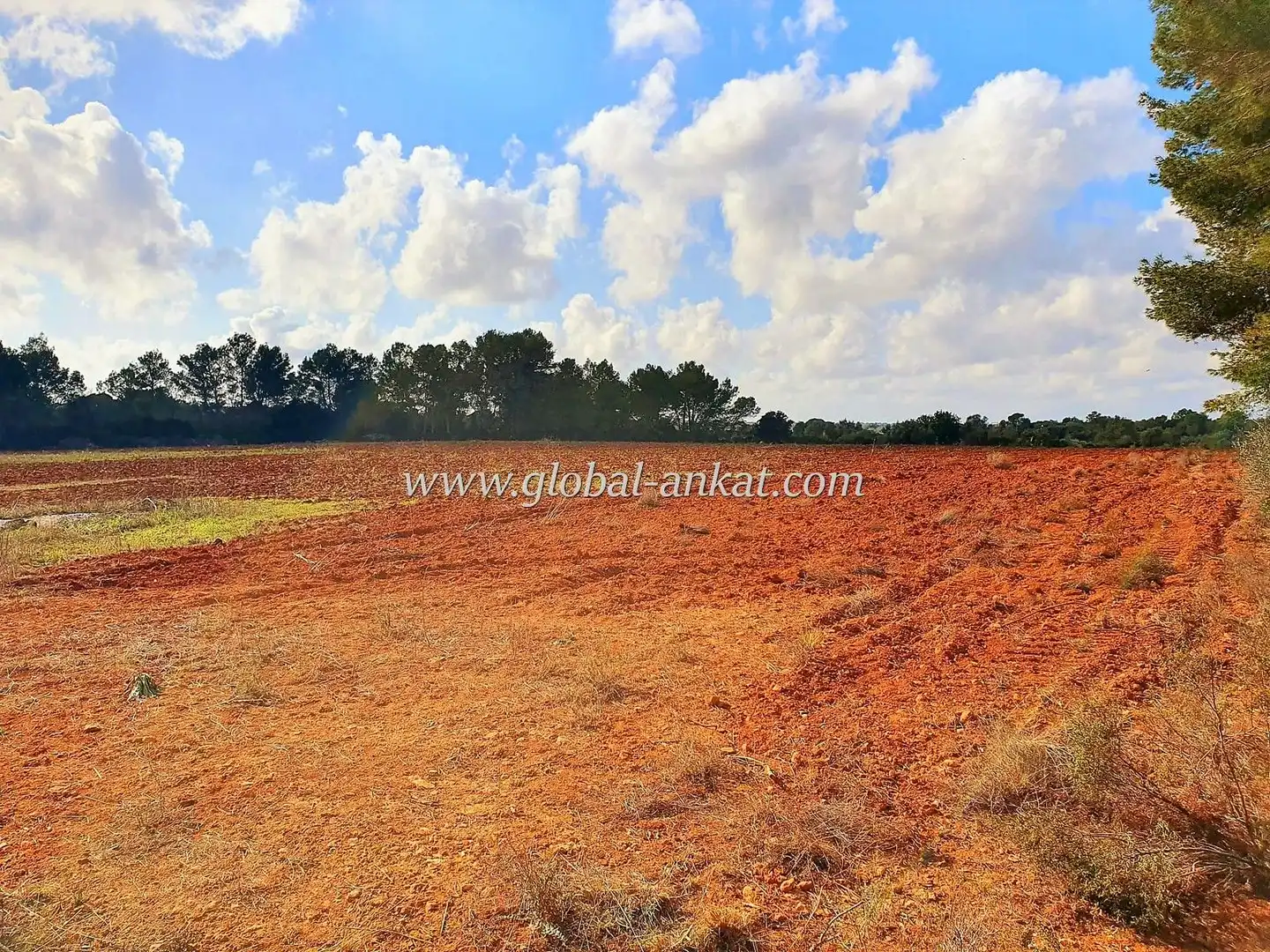 Residential land for sale in Zona Rústica - Interior, imagen 5