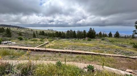 Foto 4 de Finca rústica en venda a Camino de Jama, 3, Tamaide - El Roque, San Miguel de Abona