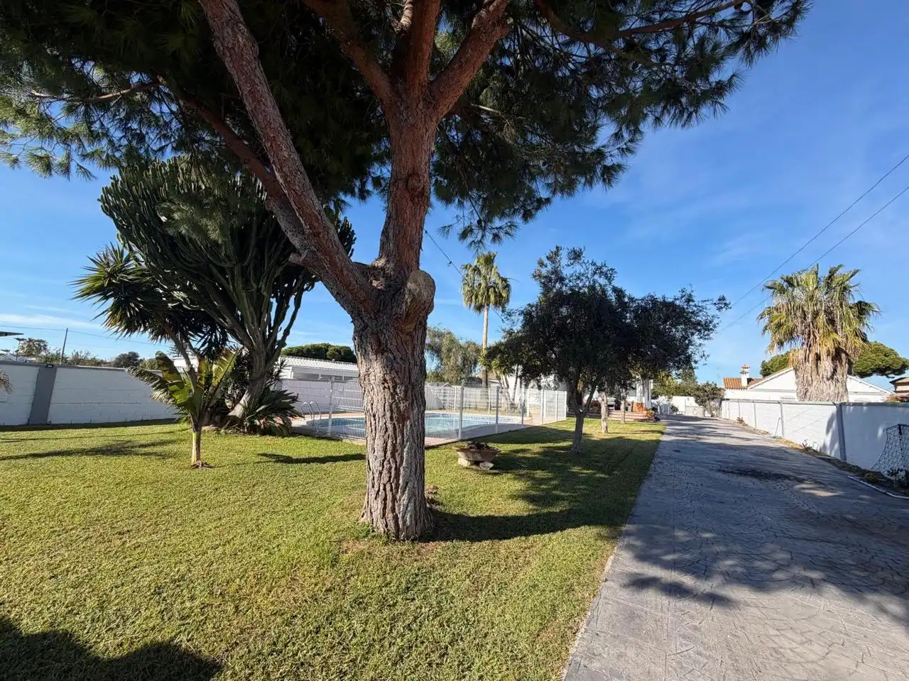 Vista exterior de Casa o chalet en venta en Chipiona con Aire acondicionado, Jardín privado y Piscina