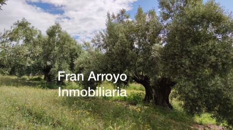 Terreno en venta en Carretera Úbeda-Madrid, Úbeda, immagine 4