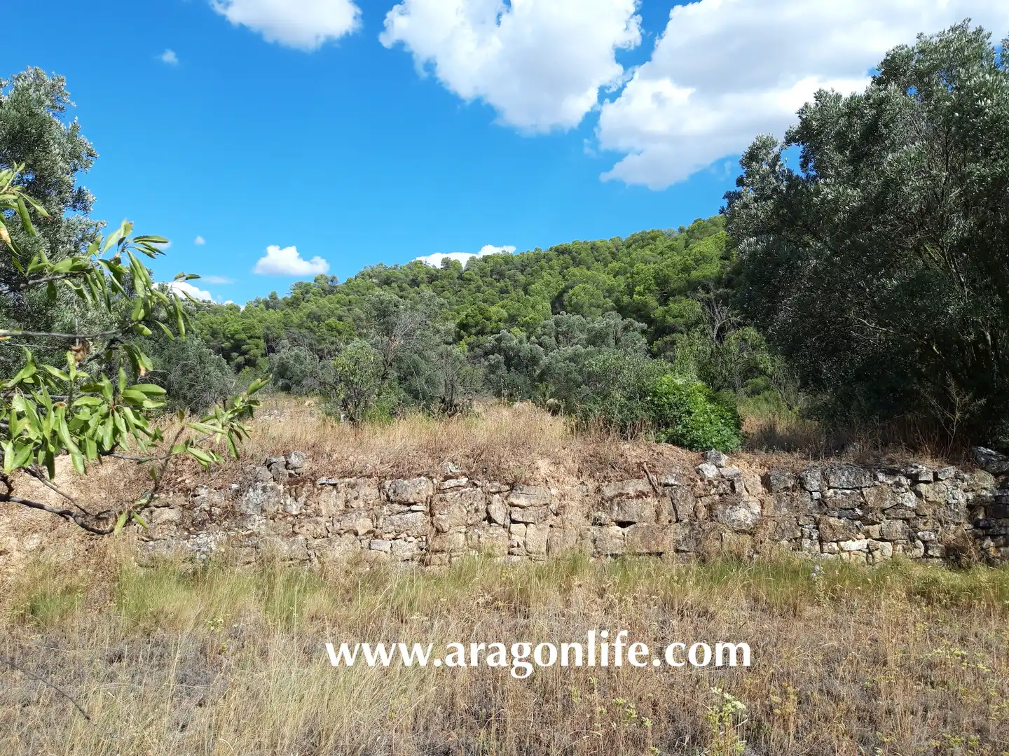 Finca rústica en venta en Fabara