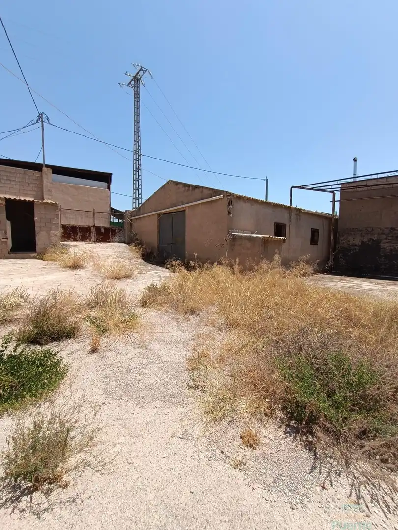 Industrial building for sale in Totana, imagen 15