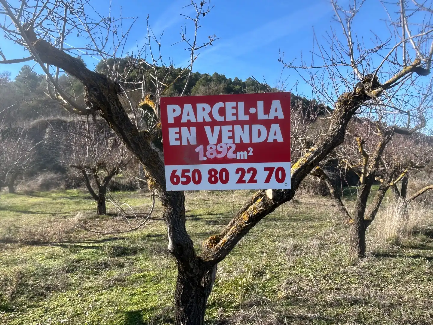 Terreno rústico en venta en Cami Xalets 12