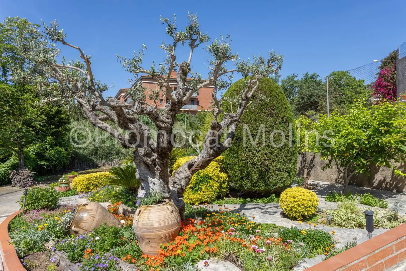 Jardín de Casa o chalet en venta en La Palma de Cervelló con Calefacción, Jardín privado y Terraza