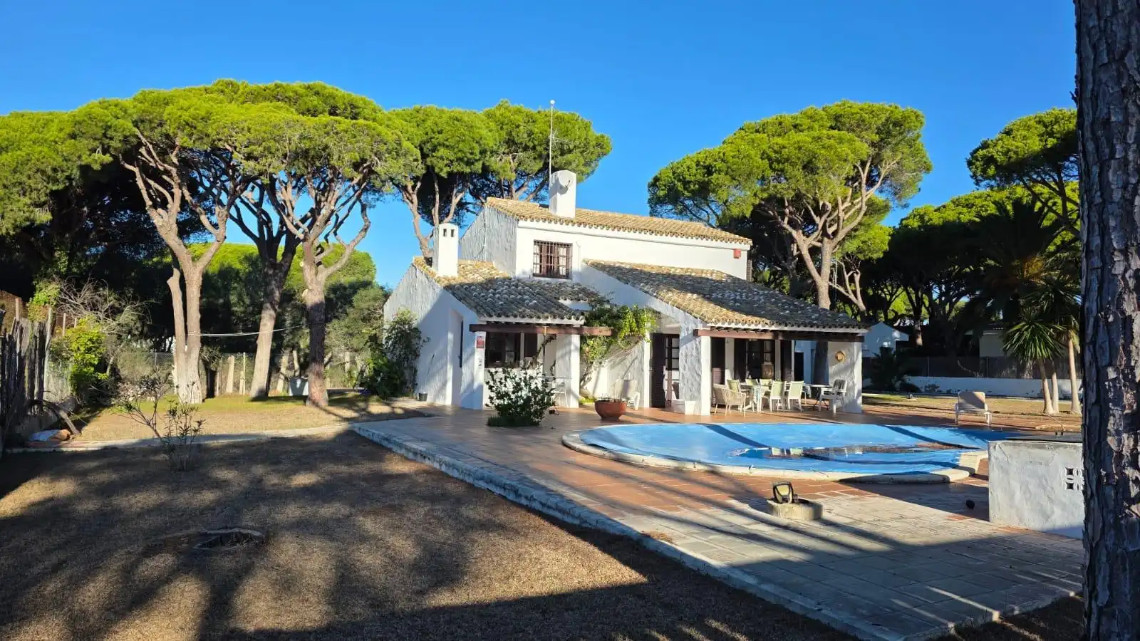 Jardí de Casa o xalet en venda en Chiclana de la Frontera amb Jardí privat i Piscina comunitària