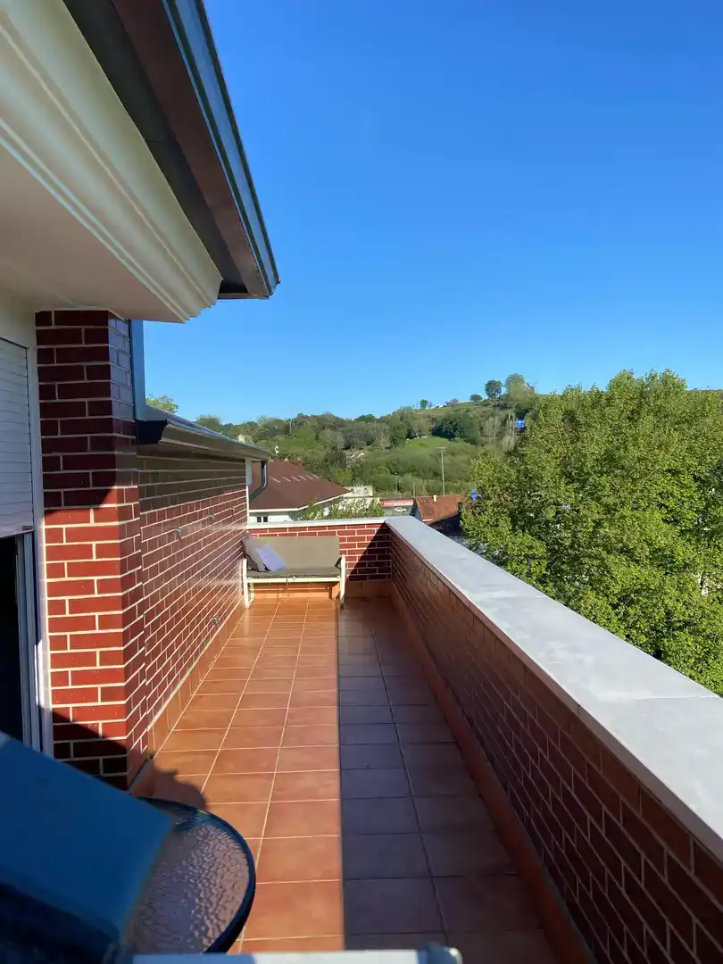 Terrasse von Wohnung zum Verkauf in Entrambasaguas mit Balkon