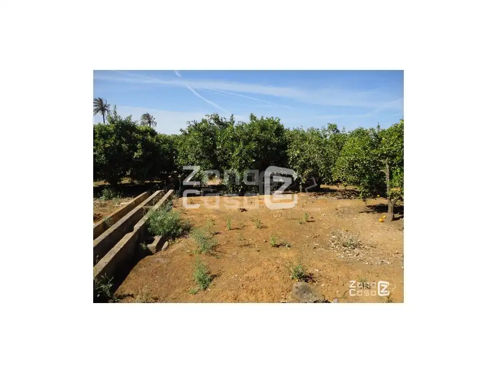 Casa rústica en venta en Urbanitzacions i Pedanies Nord, imagen 7