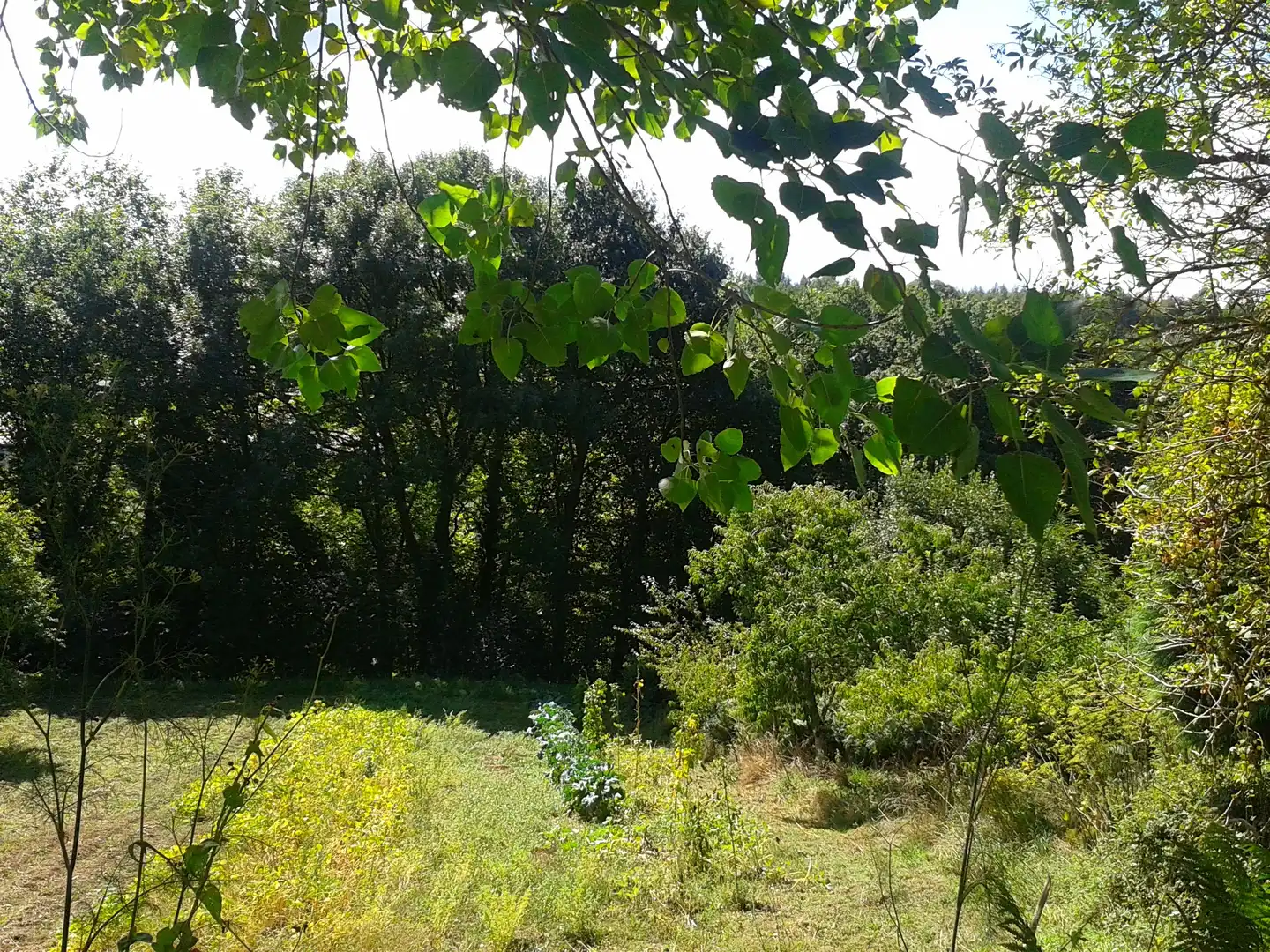 Casa o chalet en venta en N/A, Vilasantar