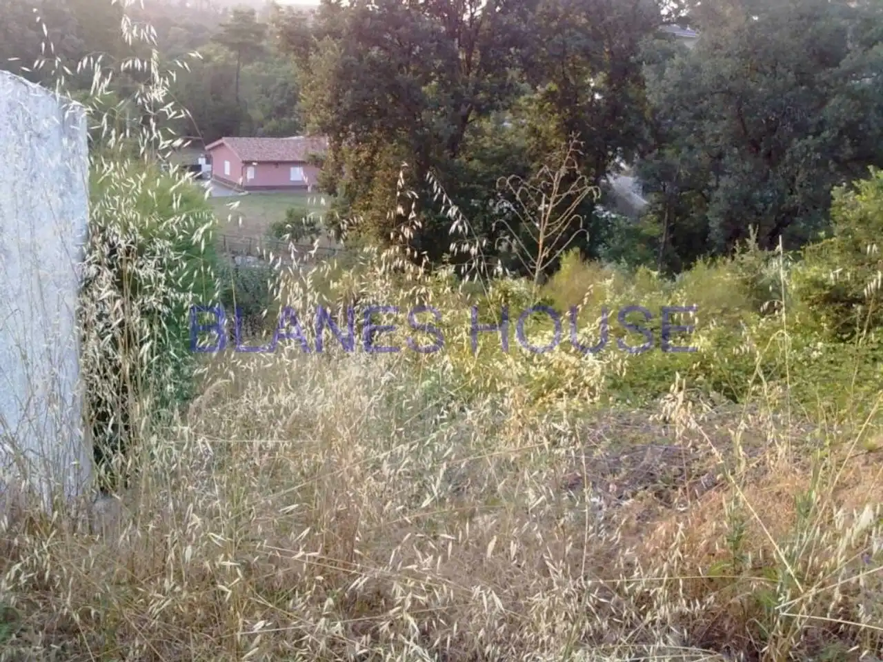 Wohnbaugrundstück zum Verkauf in Mas Altaba - El Molí, imagen 2