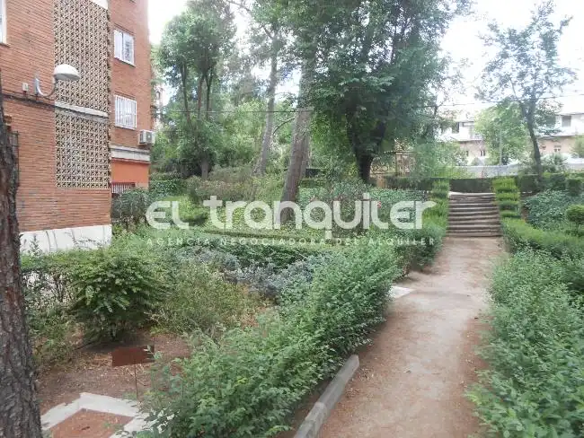 Garten von Wohnung zur Miete in Madrid mit Terrasse