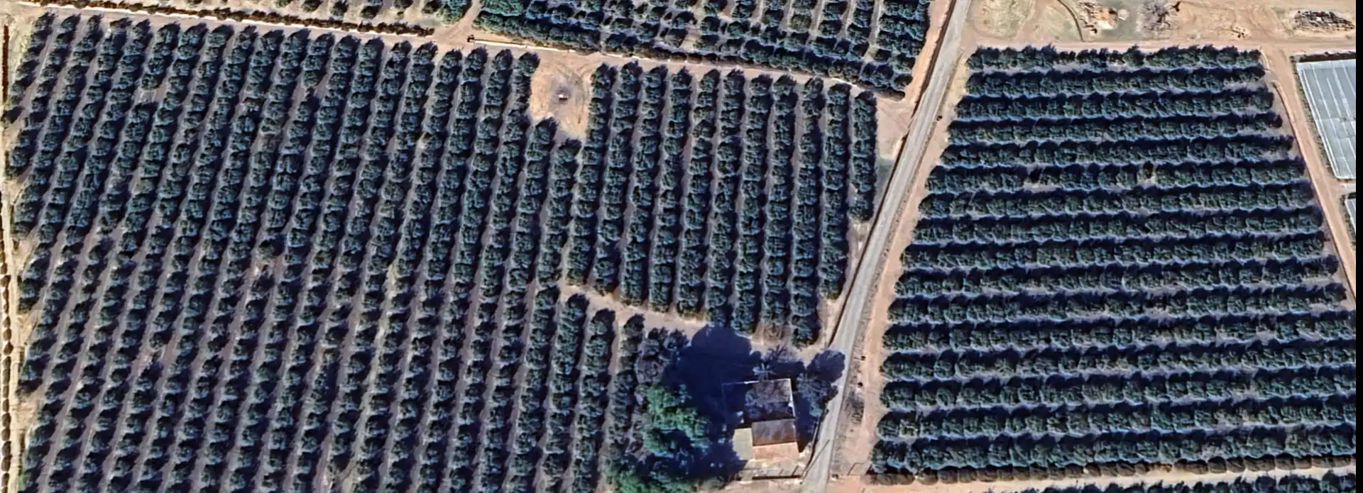 Terreni e lotti in affitto a Diseminado Finca Cortinas, imagen 2