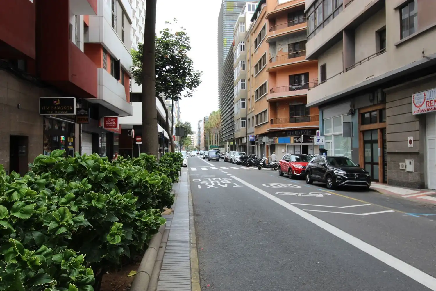 Gewerbefläche zum Verkauf in Calle Albareda 28, imagen 2