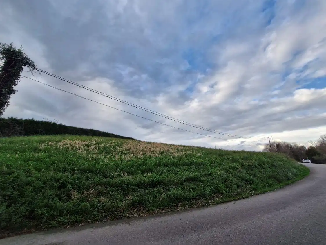 Land for sale in Piélagos