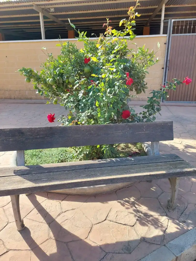 Jardín de Finca rústica en venta en Mijas