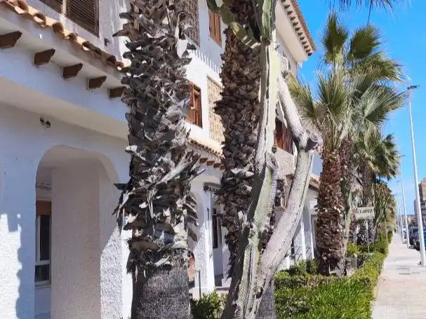 Flat with pool for sale in AVENIDA DE RONDA 100, imagen 2