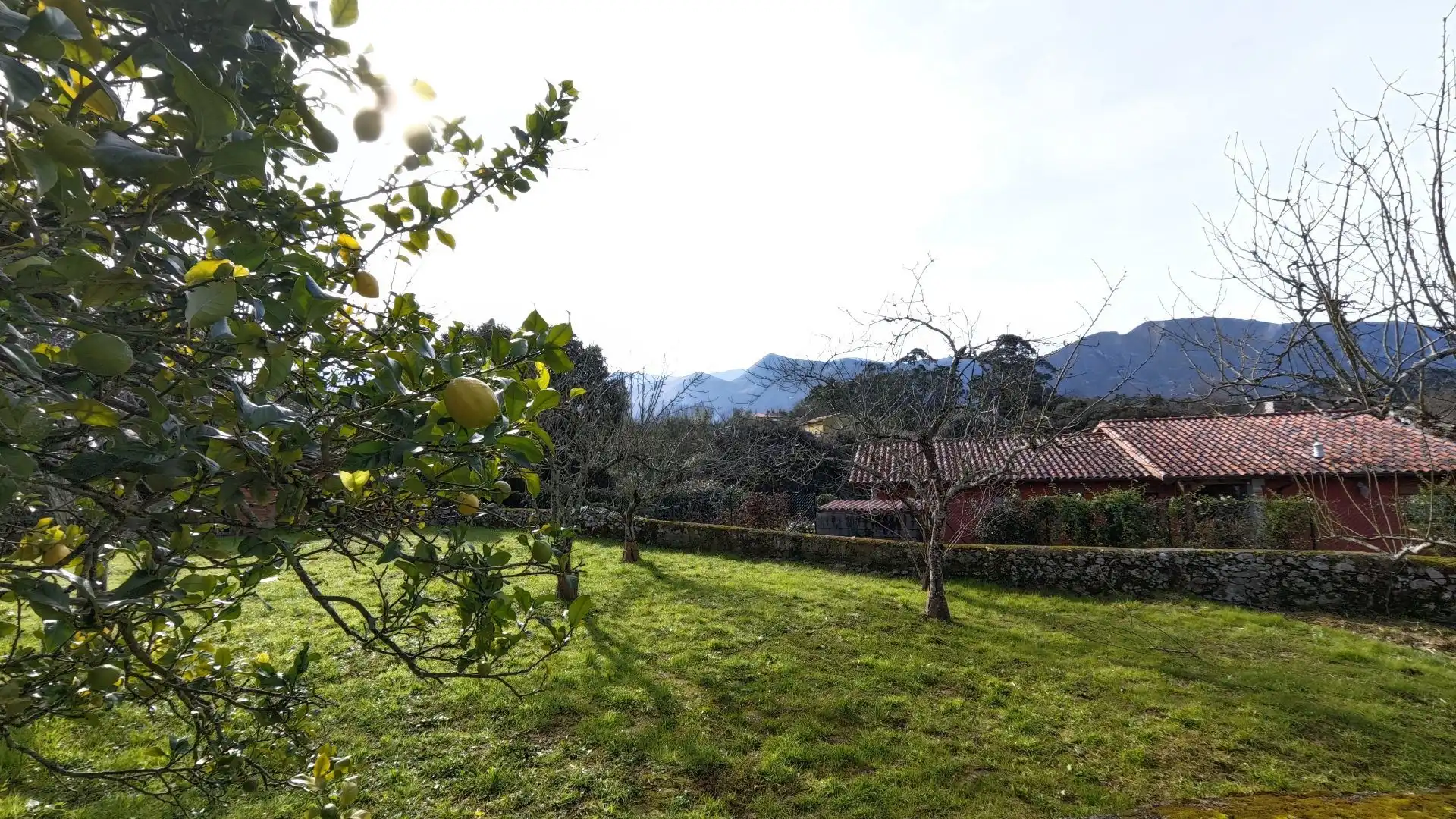 Garden of Country homes for sale in Llanes  with Private garden
