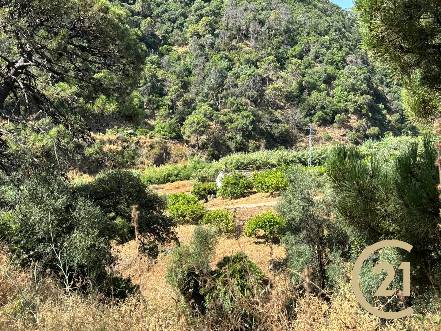 Garden of Land for sale in Estepona