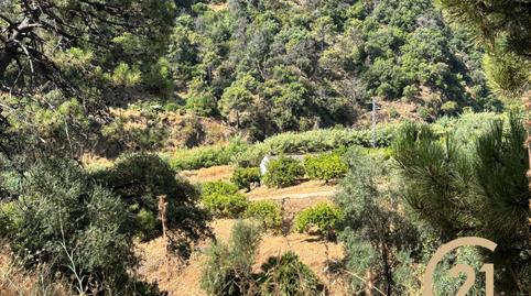 Foto 4 de Terreny en venda a Municipio Rio Padron, 20, Altos de Estepona, Estepona