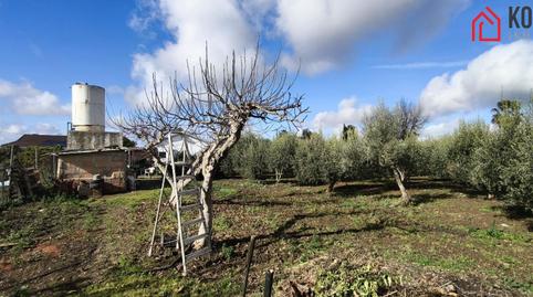 Foto 3 de Finca rústica en venta en Villamartín, Cádiz