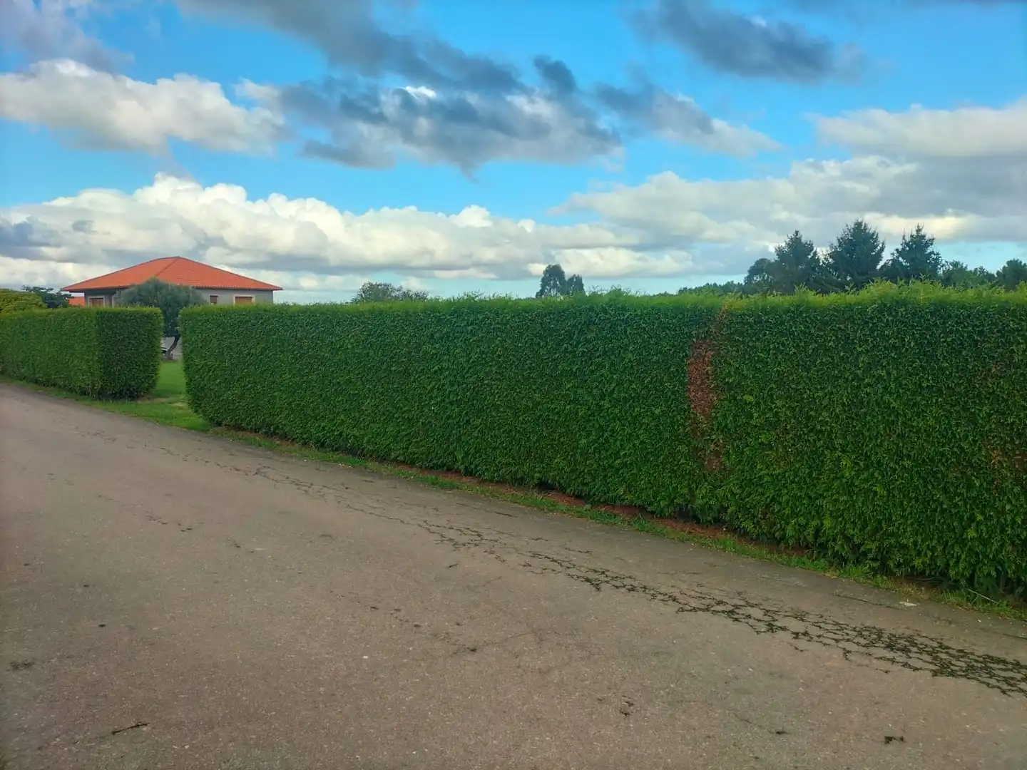 Exterior view of Residential for sale in Abegondo