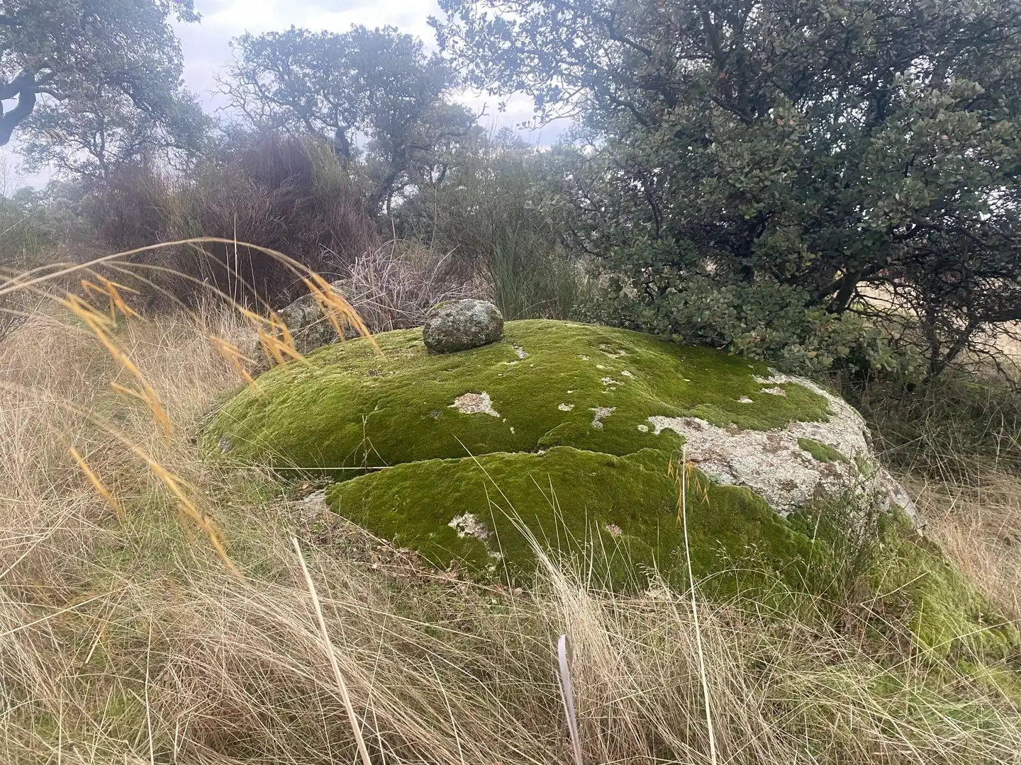 Terreni e lotti in vendita a La Estrella, imagen 38