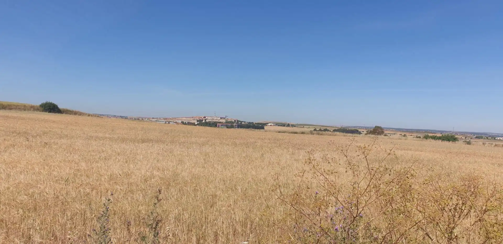 Rural land for sale in Villares de la Reina, imagen 6