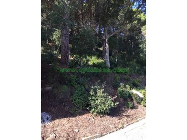 Terreno rustico in vendita a Lloret Verd - Els Pinars