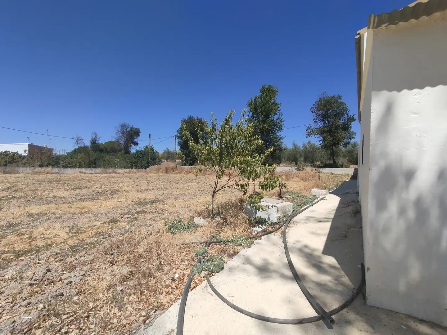 Finca rústica en venta en Cabra con Jardín privado