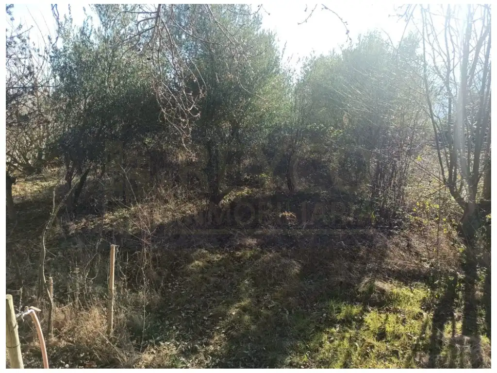Terreno residencial en venta en Berceo, imagen 5