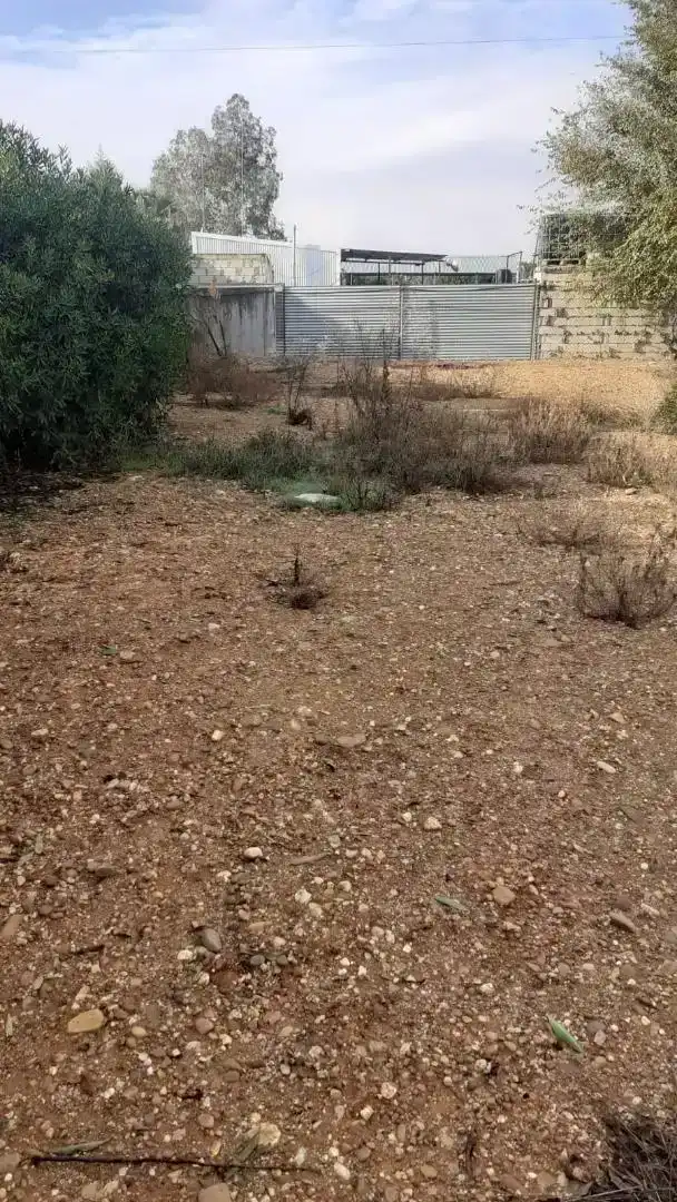Finca rústica en venda en La Campana