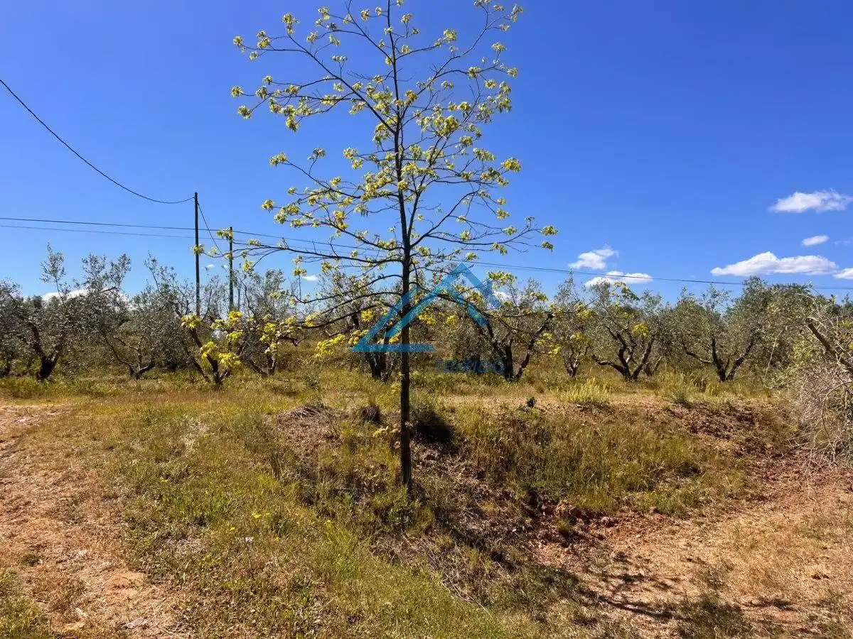 Land for sale in Vinyols i els Arcs