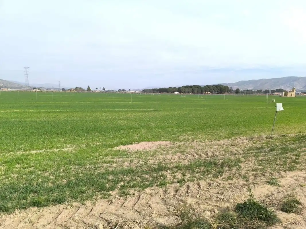Residential land for sale in El Rabal, imagen 5