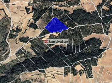 Terreno rustico in vendita a POLIGONO 7 PARCELA 95