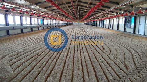 Photo 4 of Industrial buildings for sale in San Mateo, Murcia